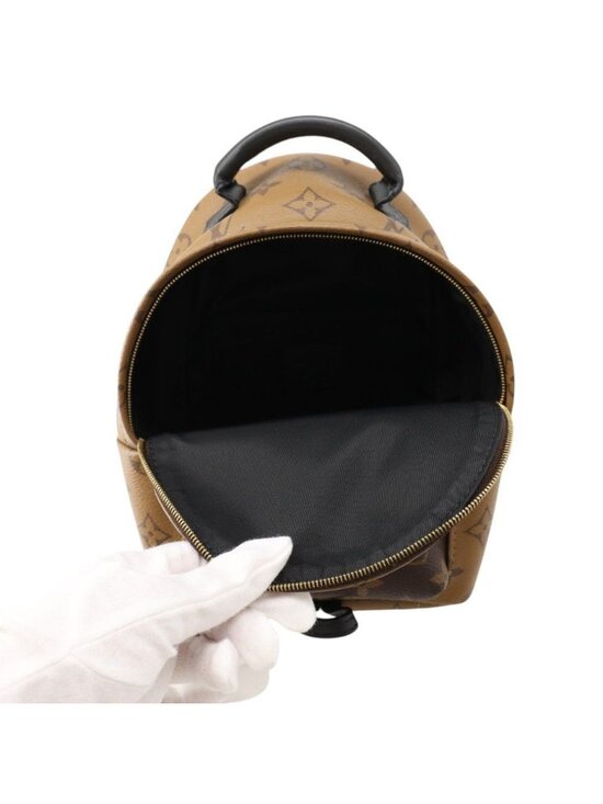 Louis Vuitton Backpack Monogram Reverse Palm Springs Mini Bag main image 10